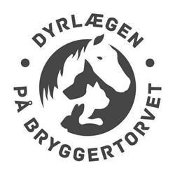 Dyrlægen på Bryggertorvet