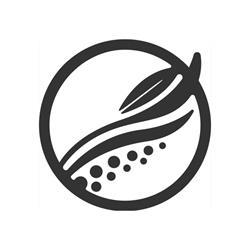 Restaurant Alimentum