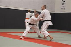 Vejle Jiu Jitsu Klub