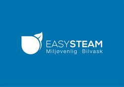Easy Steam Bilvask
