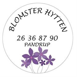 Blomsterhytten Pandrup