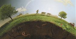 Biodynamisk Forbrugersammenslutning