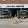 Lampemanden
