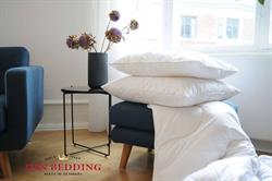 Dan Bedding ApS