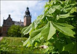 Hesbjerg Fonden