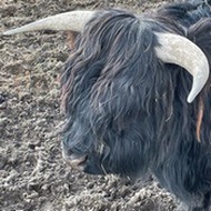 Naturcenter Kildegården