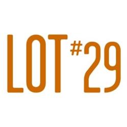 Lot 29