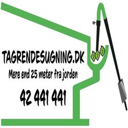 Tagrendesugning.dk