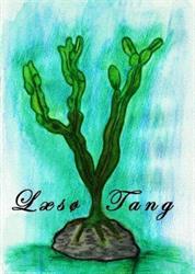 Læsø Tang