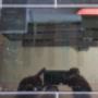 Lenovo reparation i Odense, Kerteminde, Munkebo, Otterup, Søndersø