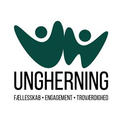 Ungherning