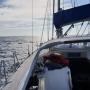 Alpina Marine - Marinecenter i Næstved