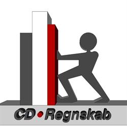 CD Regnskab