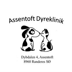 Assentoft Dyreklinik