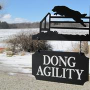 Dong Agility