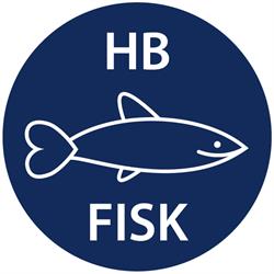 HB Fisk