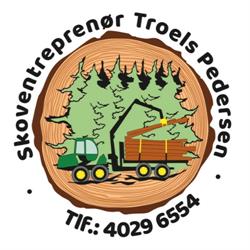 Troels Pedersen, Skoventreprenør