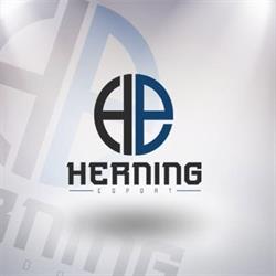 Herning Esport