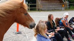 Horse and humanship
