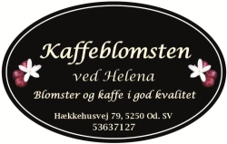 Kaffeblomsten ved Helena