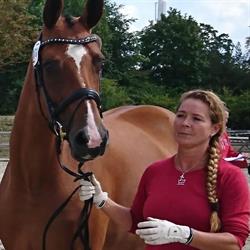 Plus Horses