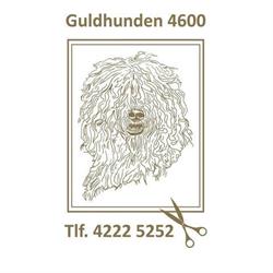 Guldhunden 4600