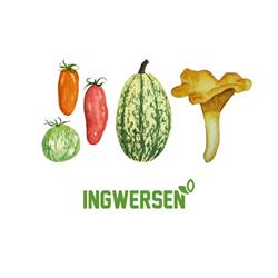 Ingwersen A/S