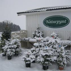 Naturpynt