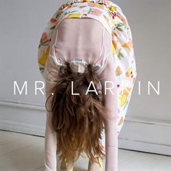 Mr. Larkin