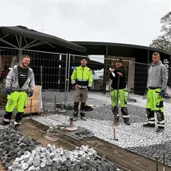 DH Brolægning