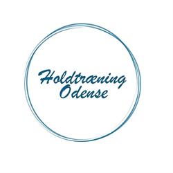 Holdtræning Odense ApS
