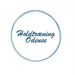 Holdtræning Odense ApS
