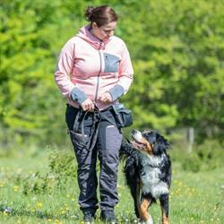 Hundetræning Fyn