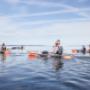 Formiddagstur i GLASKAJAK® med VisionKayak | Morning trip in GLASS KAYAK® with VisionKayak