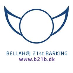 Bellahøj 21st Barking