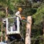 # 6