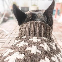 Uldhund