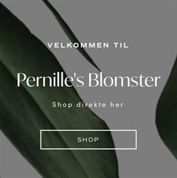 Pernille`s Blomster