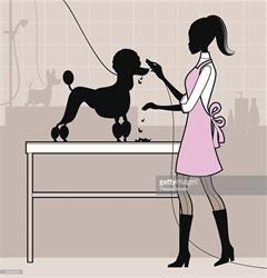 Hundesalon Boni