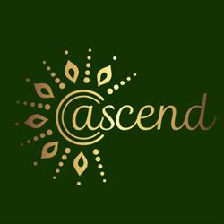 Ascend Studio Køge