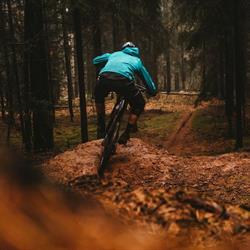 Bings Bikerental ApS