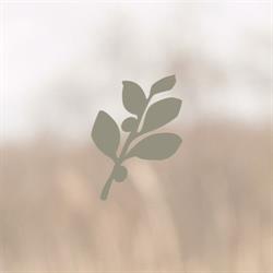 NATULIQUE ApS
