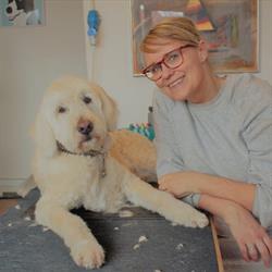 Gittes Hundeklip