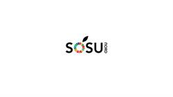 Sosu Nord
