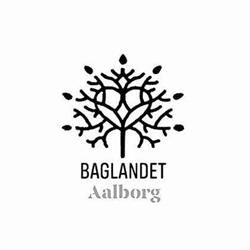 Baglandet I Aalborg