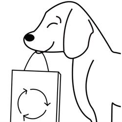 2nd PAW