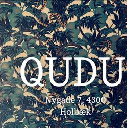 Qudu ApS