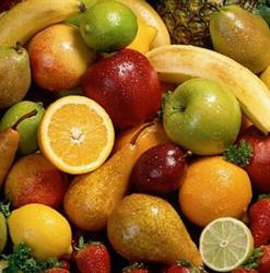 Aloush Food Aps