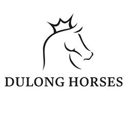 Dulong Horses ApS