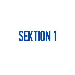 SEKTION 1